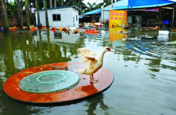 罕见的风暴潮导致东莞市厚街镇被淹，转载自新京报
